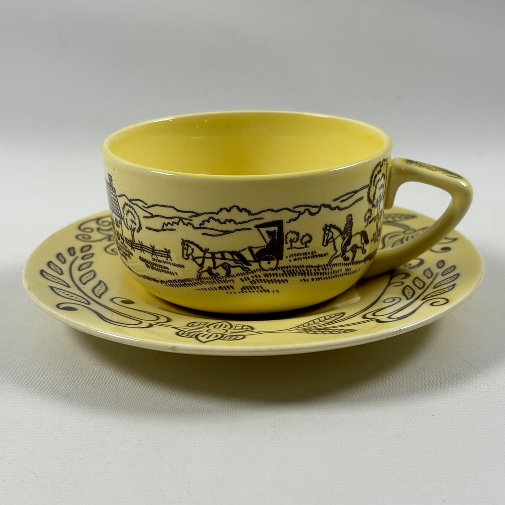 Vintage Bucks County Flat Cup and Saucer Set Yellow Folk Art Royal Sebring